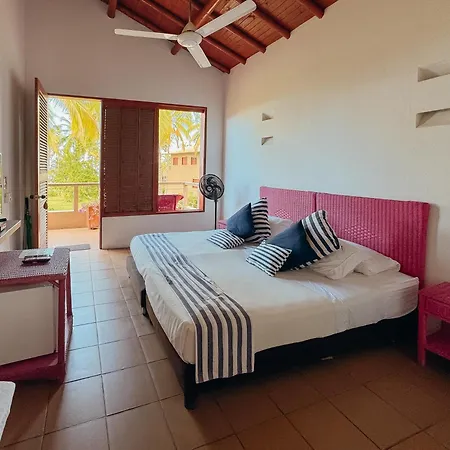 Hotel Chiniu Palomino Exterior photo