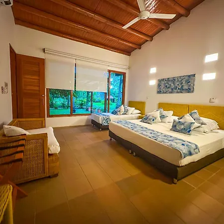 Hotel Chiniu Palomino Exterior photo
