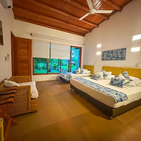 Hotel Chiniu Palomino Exterior photo