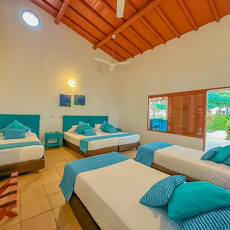 Hotel Chiniu Palomino Exterior photo