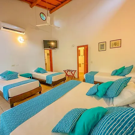 Hotel Chiniu Palomino Exterior photo