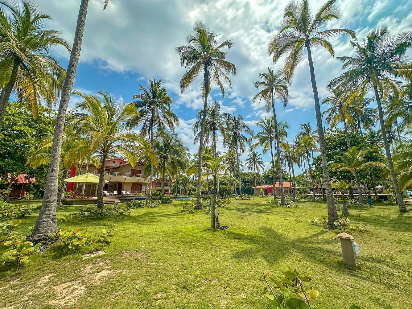 Chiniu Hotel Palomino