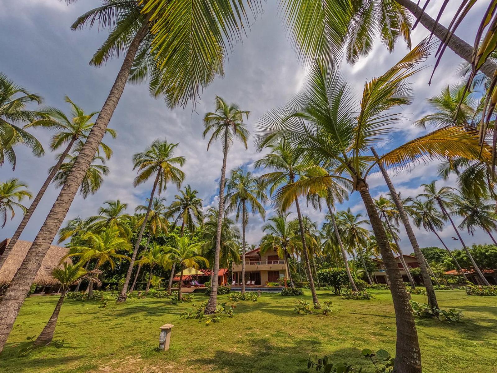 Chiniu Hotel Palomino